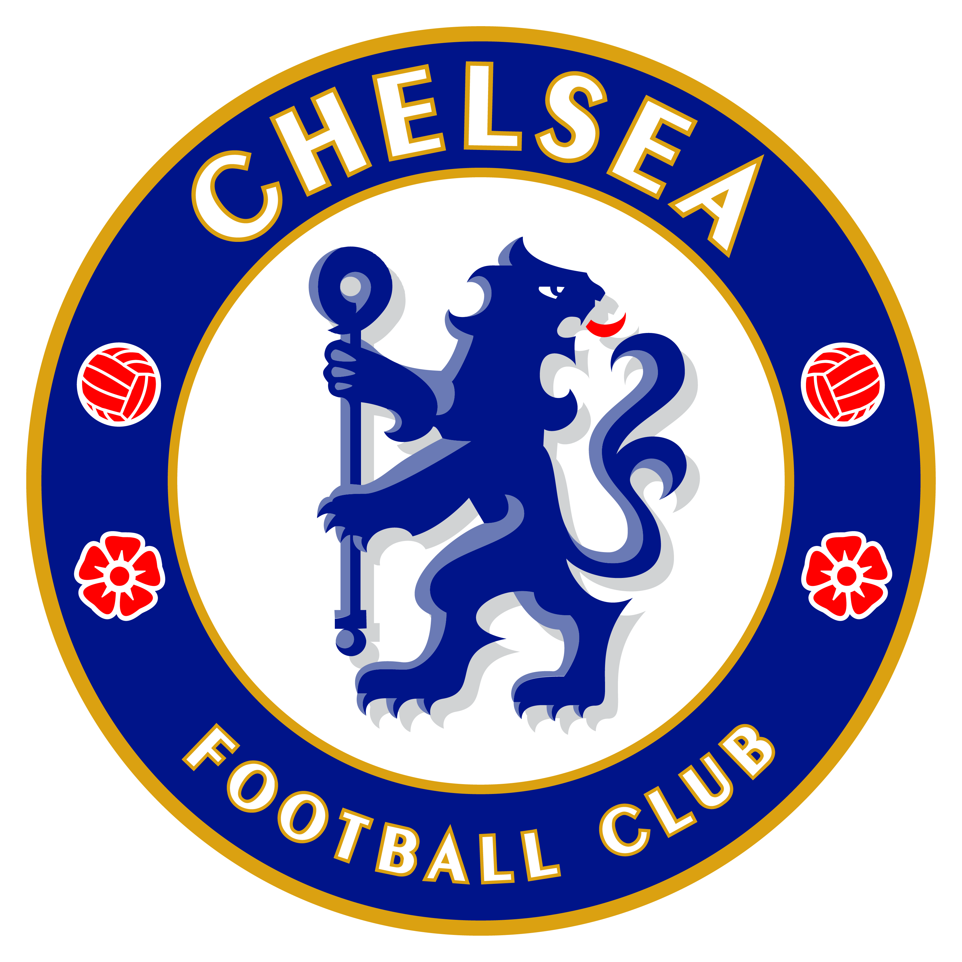 1778587080422-Artboard_1_copy_3.png